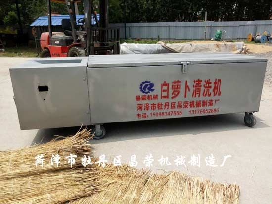 白蘿卜清洗機